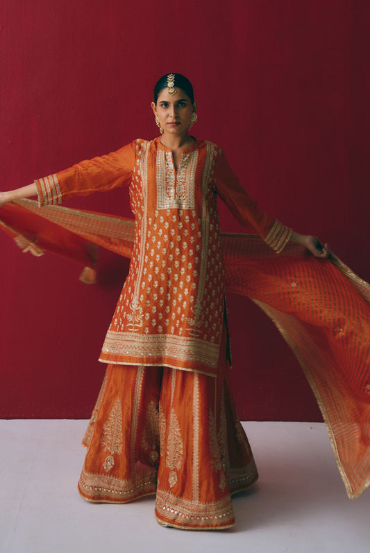 Rust Orange Tissue Chanderi Kurta Set with Ari & Pita Embroidery