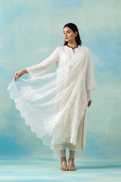 White Tone-on-Tone Silk Organza Kurta Set
